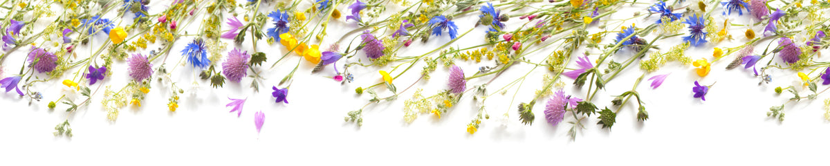Küchenrückwand Wiesenblumen
