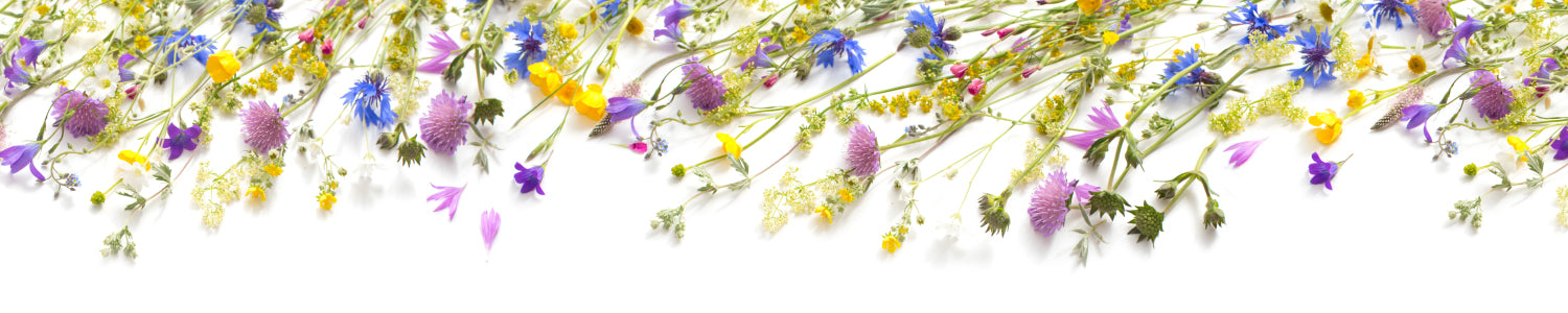 Küchenrückwand Wiesenblumen