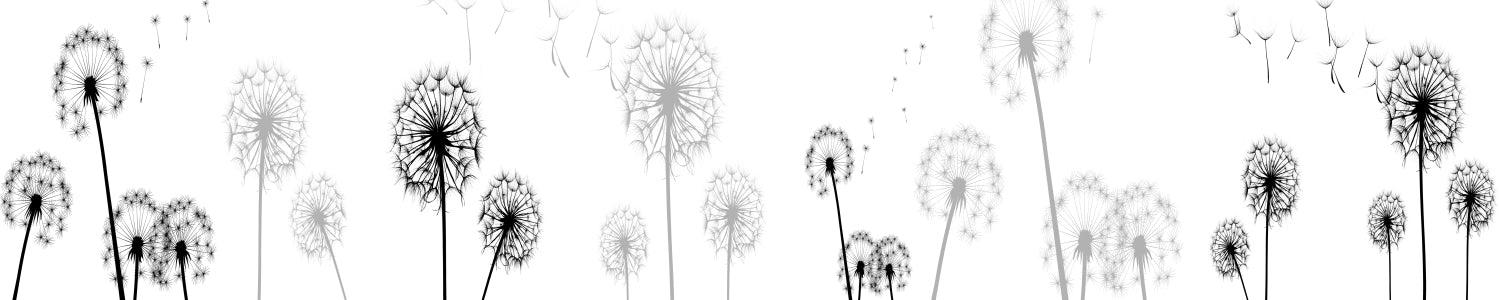 Küchenrückwand Pusteblume