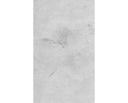 Rückwand Betonoptik