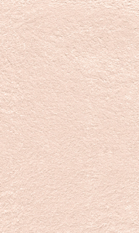 Rückwand Betonoptik