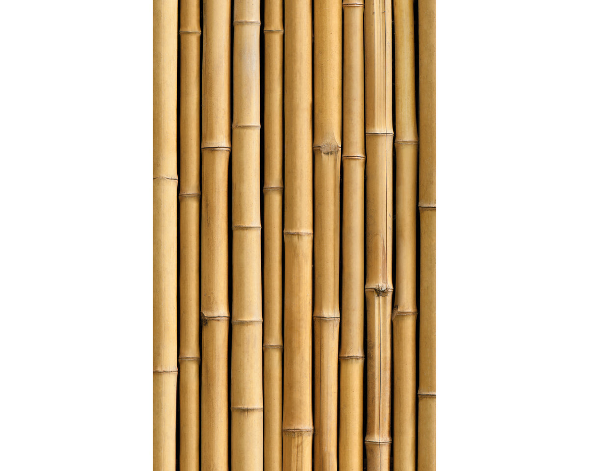 Rückwand Bildmotive