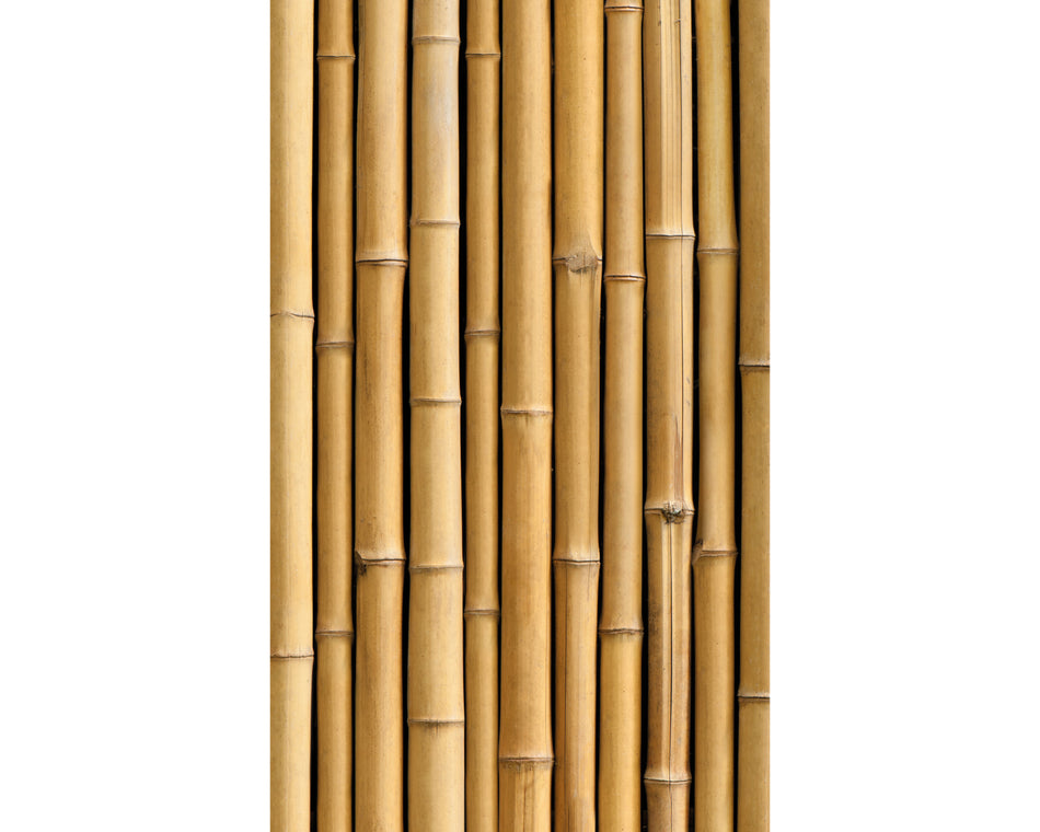Rückwand Bildmotive