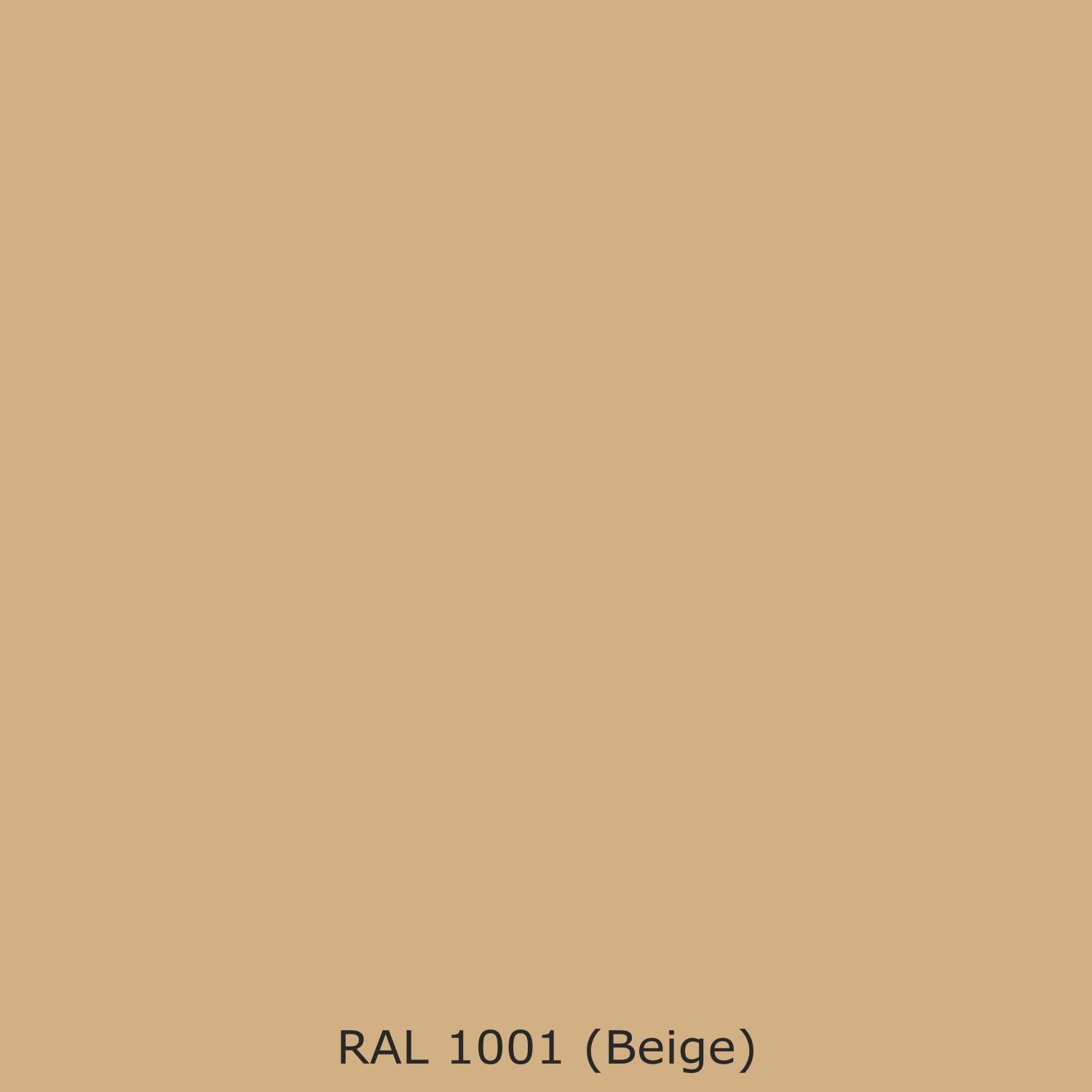 Toilettenrückwand Einfarbig #D0B083 RAL 1001 (Beige)