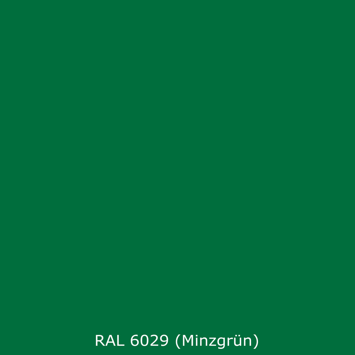 Toilettenrückwand Einfarbig RAL 6029 (Minzgrün)