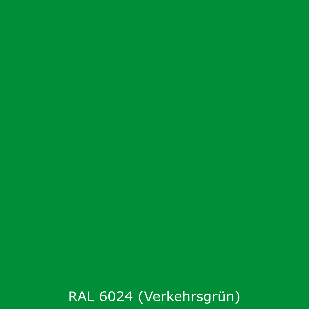 Toilettenrückwand Einfarbig RAL 6024 Verkehrsgrün