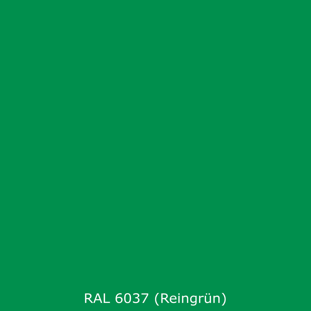 Toilettenrückwand Einfarbig RAL 6037 Reingrün
