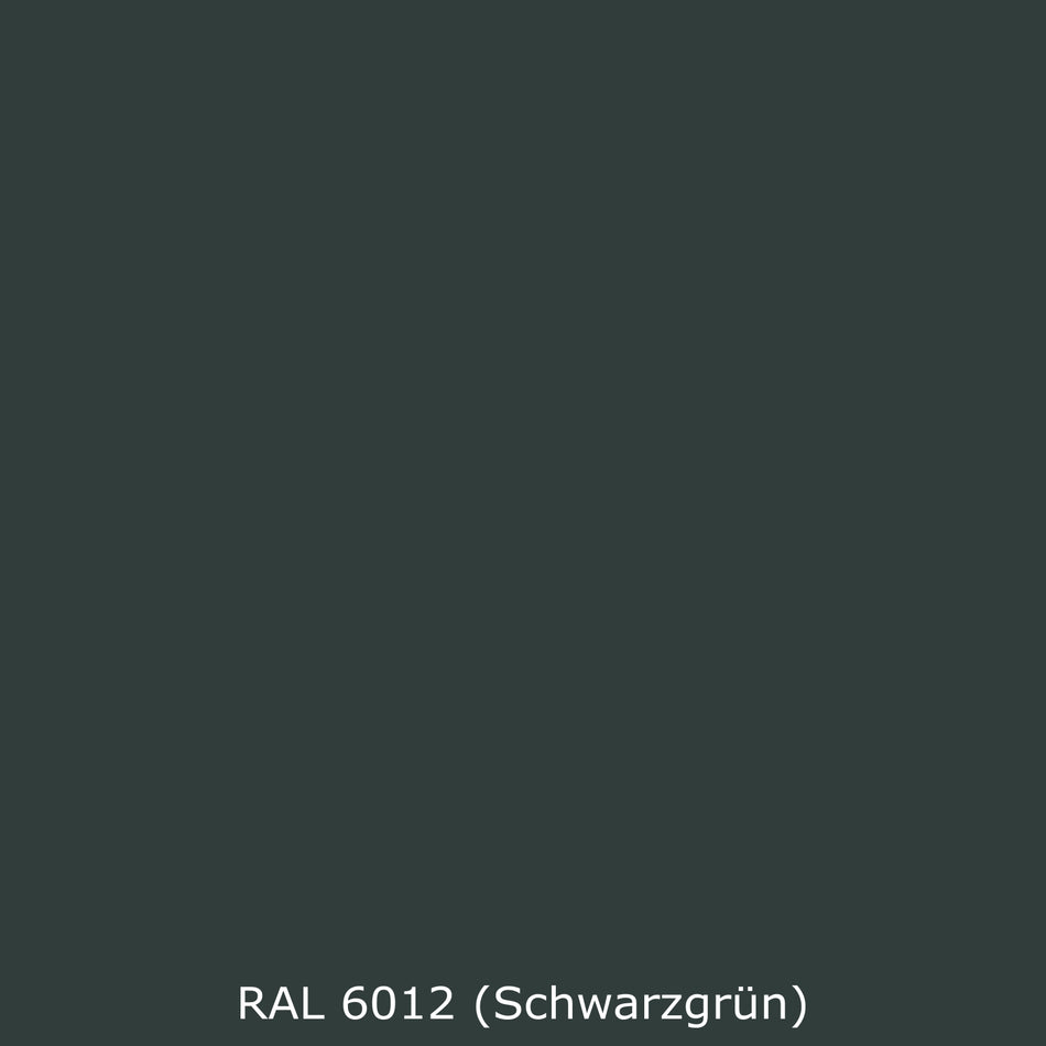Toilettenrückwand Einfarbig RAL 6012 Schwarzgrün