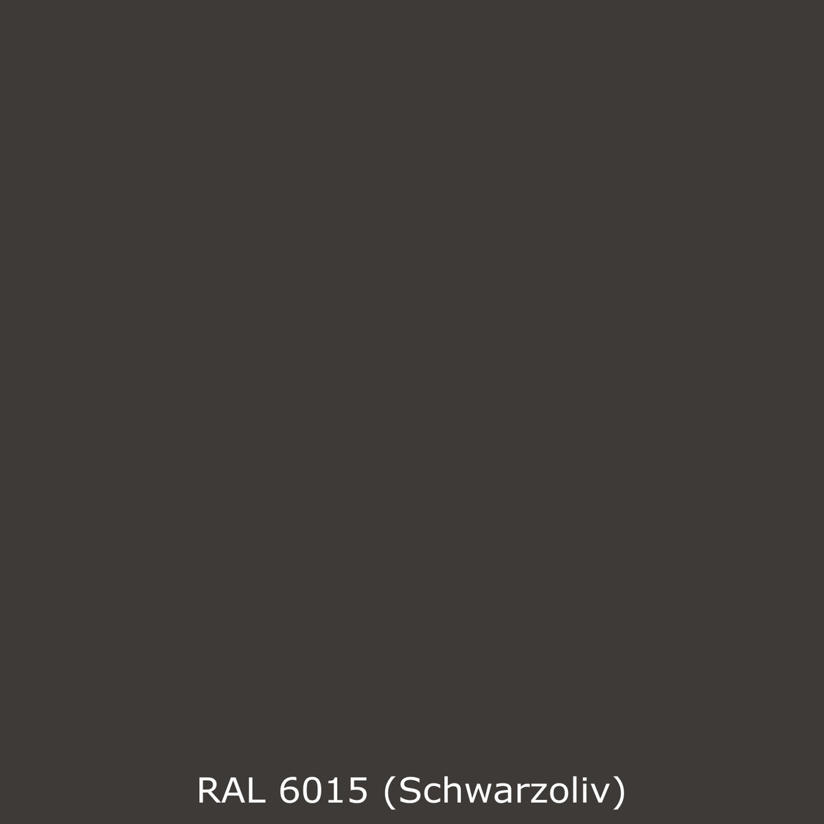 Toilettenrückwand Einfarbig RAL 6015 Schwarzoliv