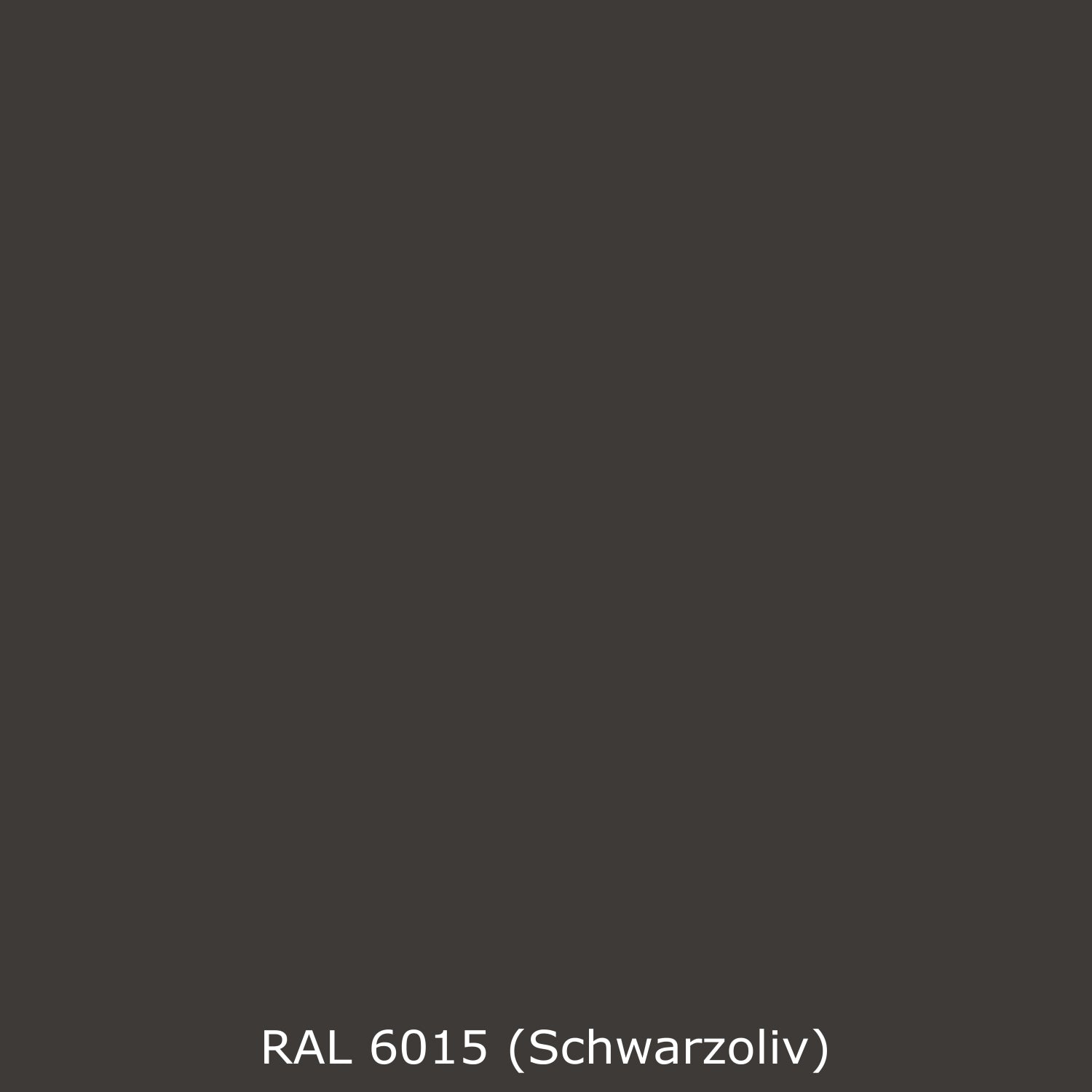 Toilettenrückwand Einfarbig RAL 6015 Schwarzoliv