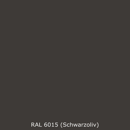 Toilettenrückwand Einfarbig RAL 6015 Schwarzoliv