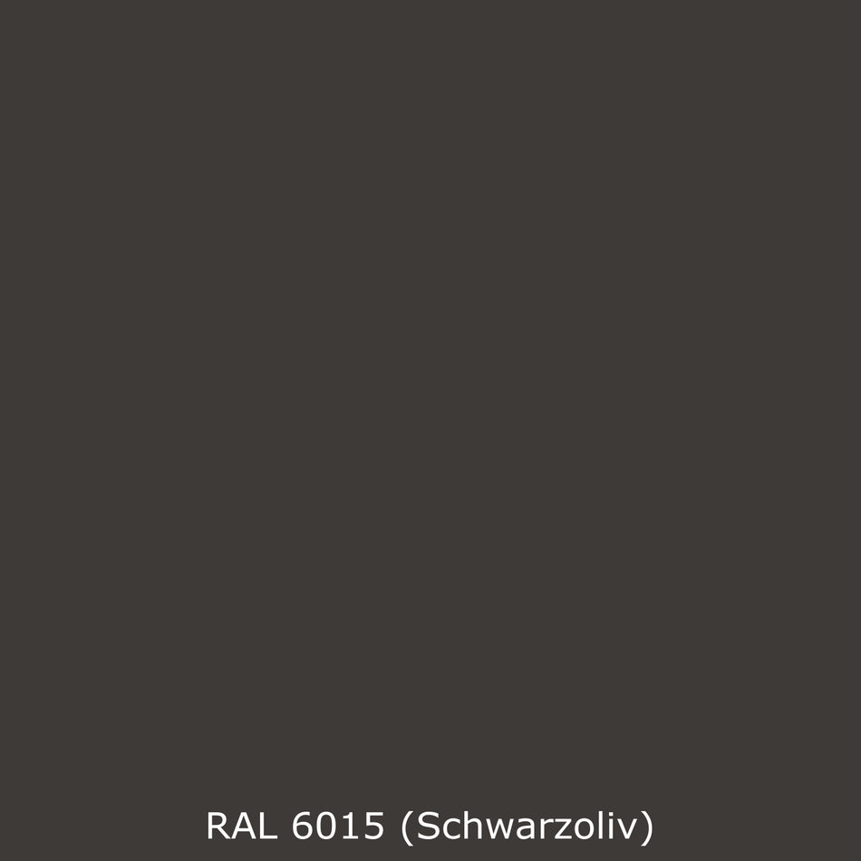 Toilettenrückwand Einfarbig RAL 6015 Schwarzoliv