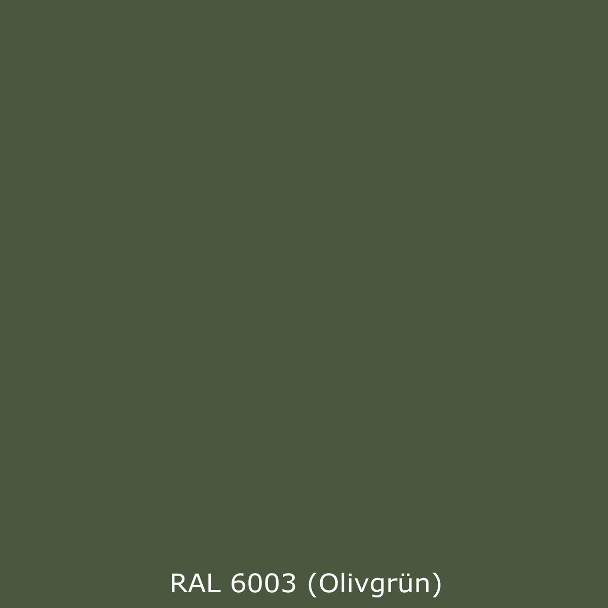 Toilettenrückwand Einfarbig RAL 6003 Olivgrün