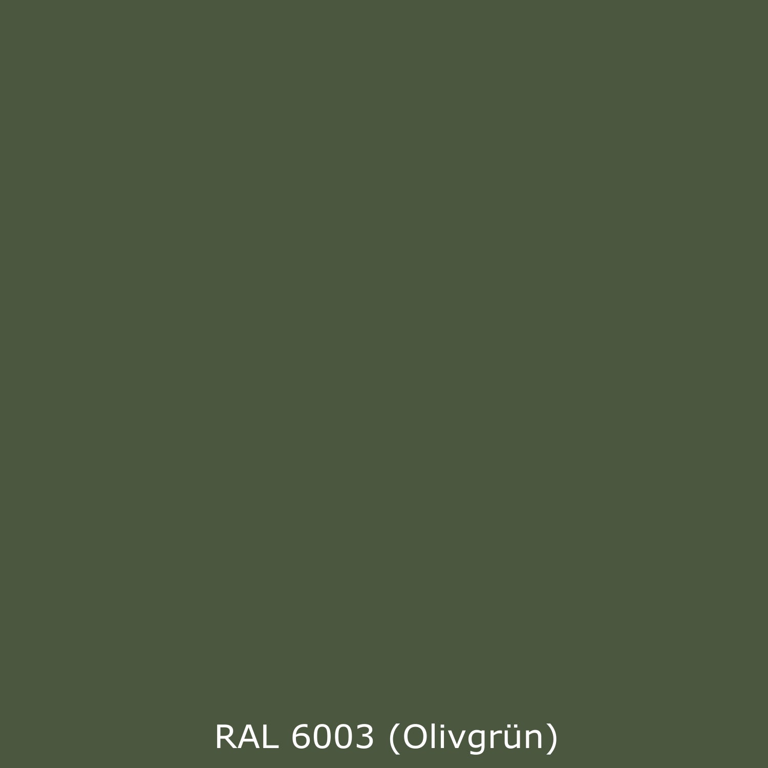 Toilettenrückwand Einfarbig RAL 6003 Olivgrün