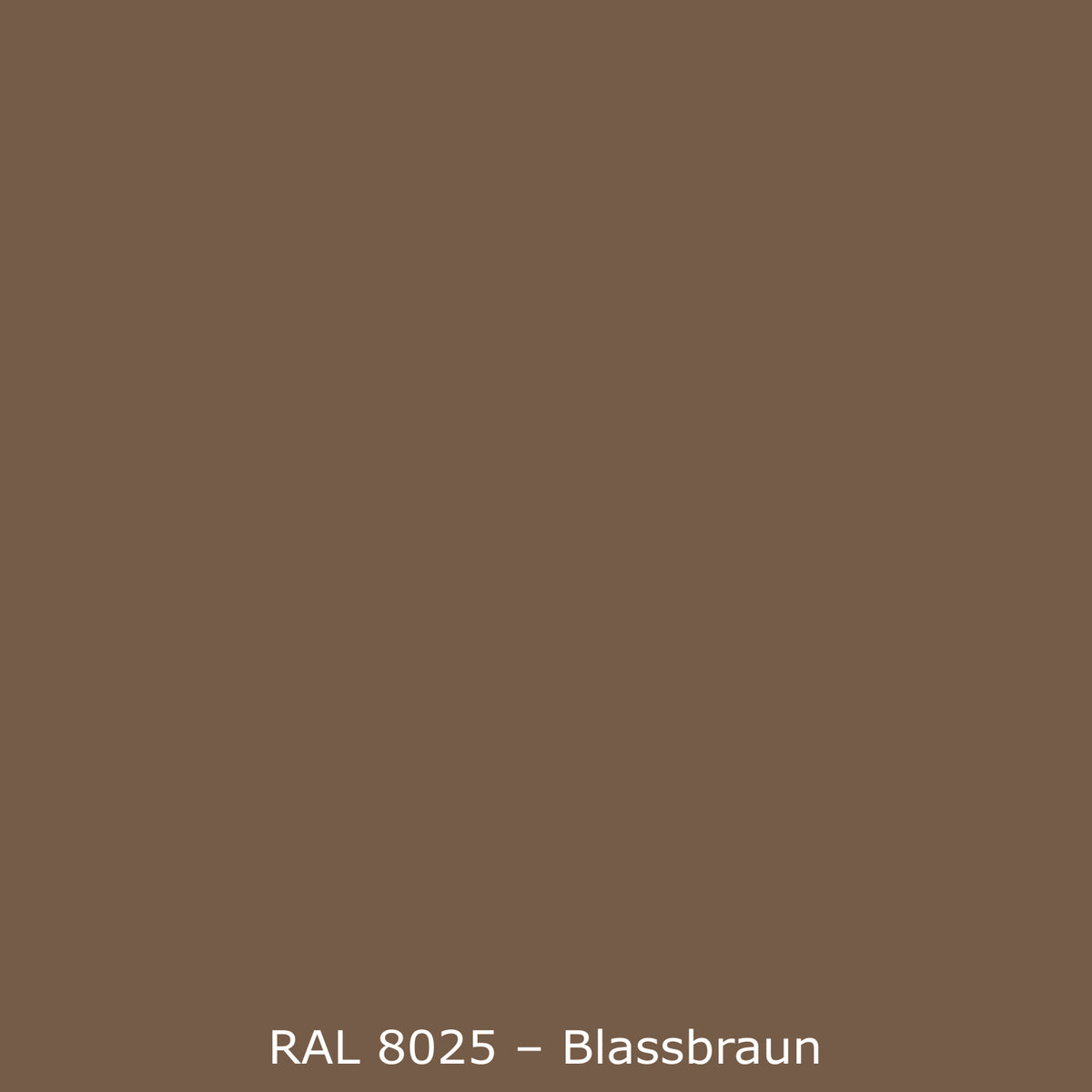 Toilettenrückwand Einfarbig RAL 8025 Blassbraun