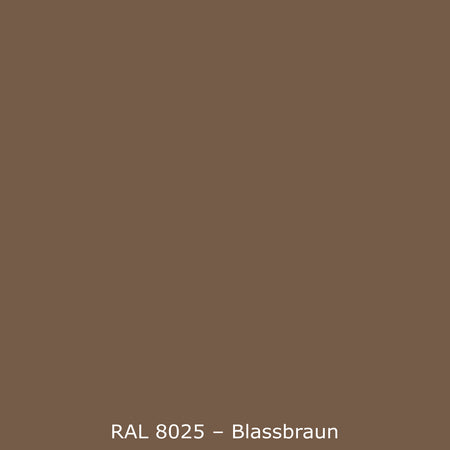 Toilettenrückwand Einfarbig RAL 8025 Blassbraun