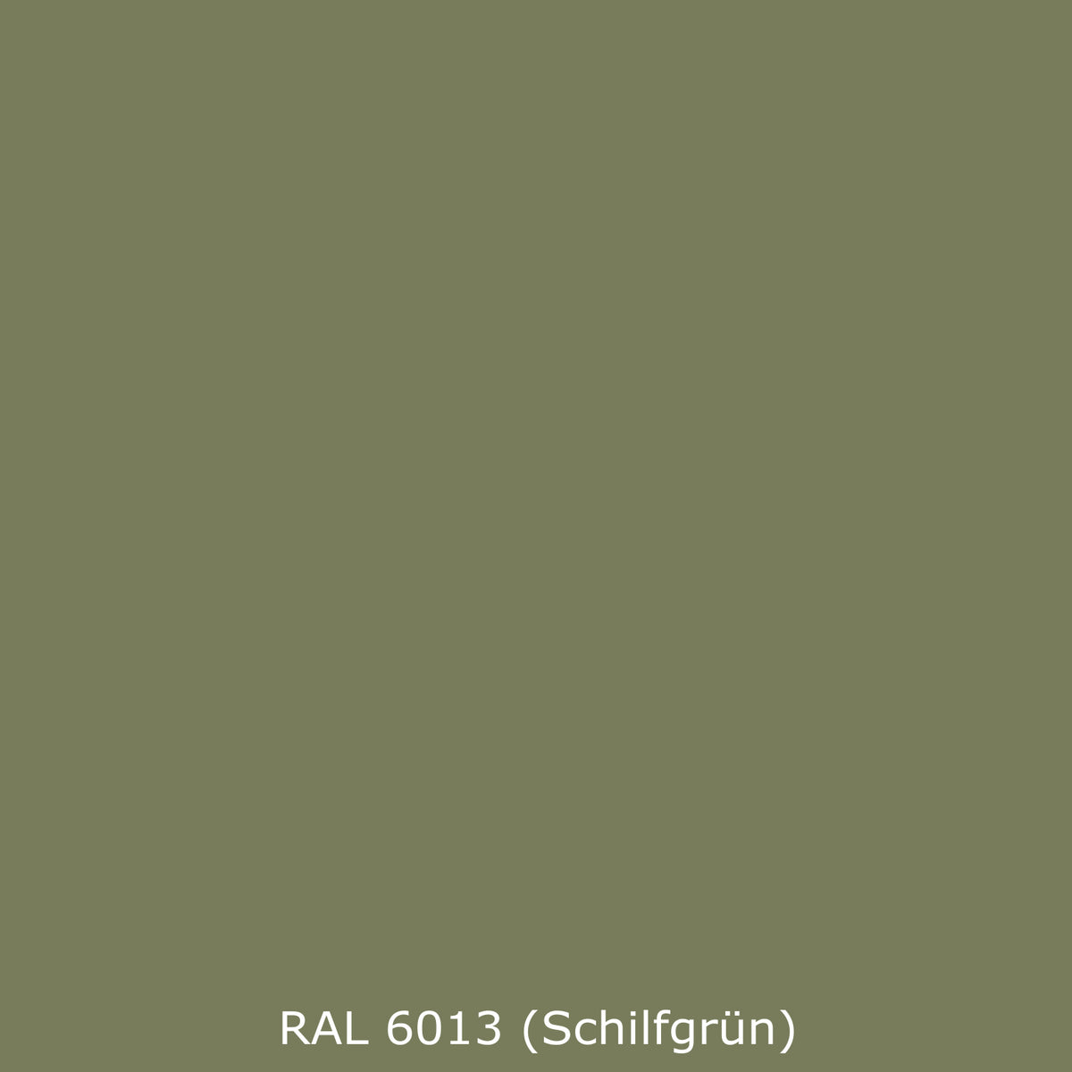 Toilettenrückwand Einfarbig RAL 6013 Schilfgrün