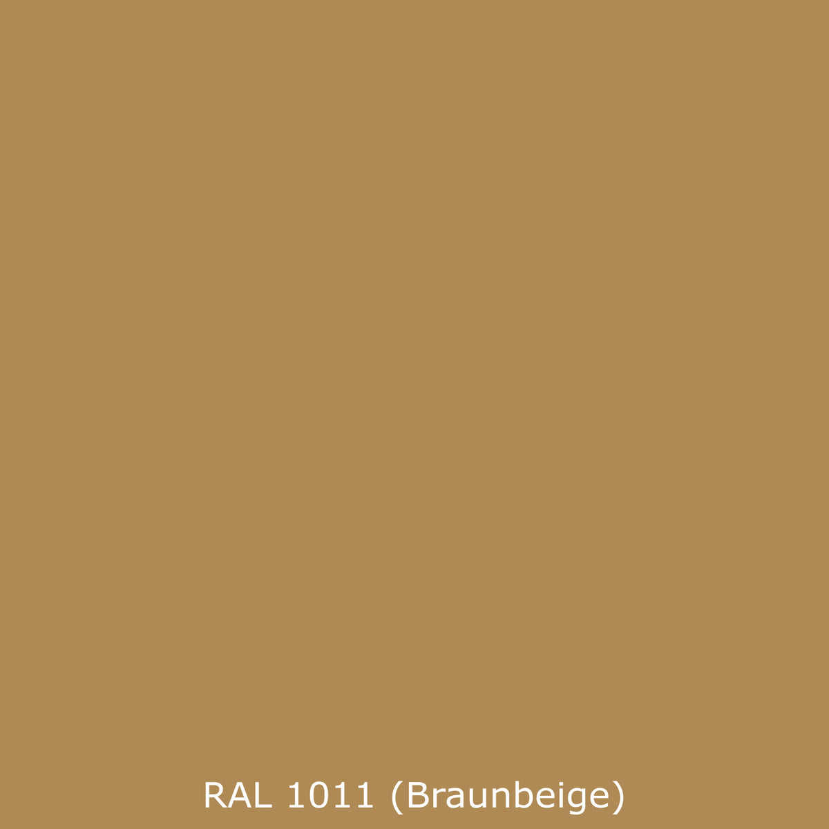 Toilettenrückwand Einfarbig RAL 1011 Braunbeige