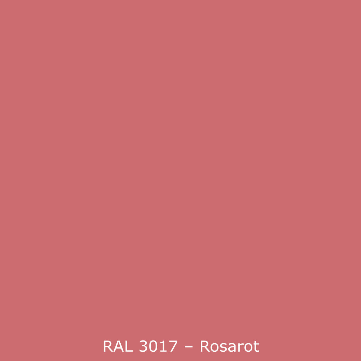 Toilettenrückwand Einfarbig RAL 3017 Rose