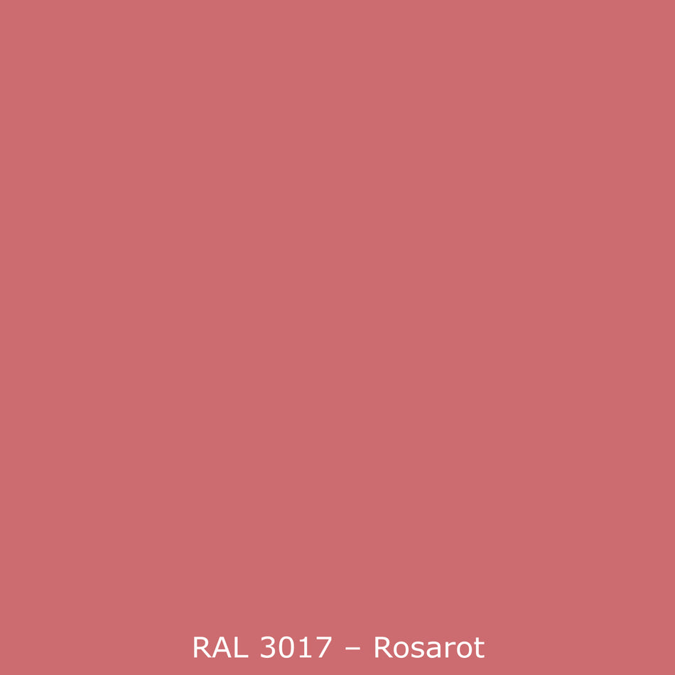 Toilettenrückwand Einfarbig RAL 3017 Rose