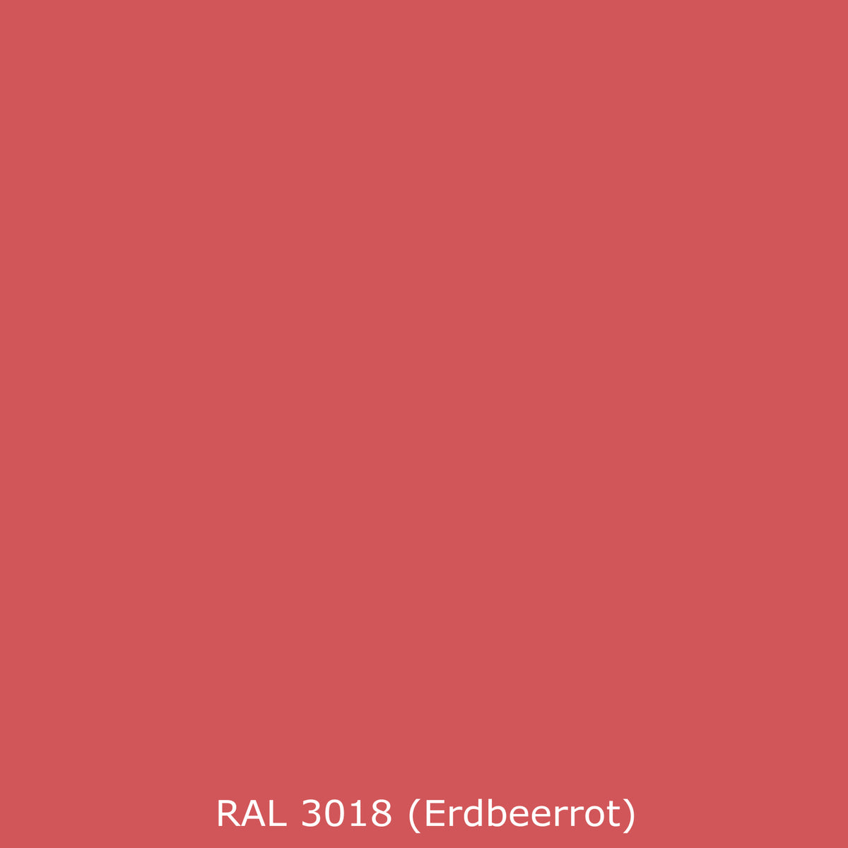 Toilettenrückwand Einfarbig RAL 3018 Erdbeerrot