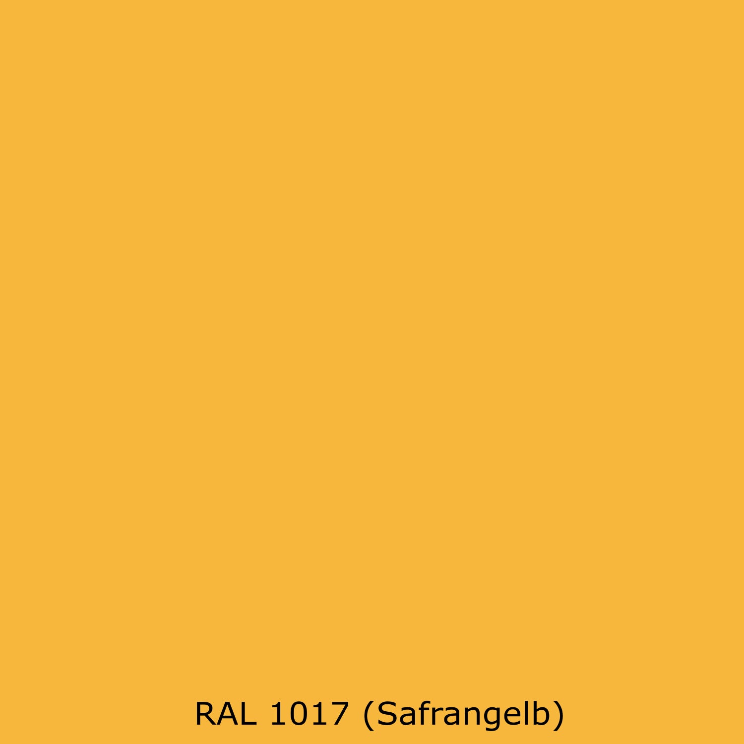 Toilettenrückwand Einfarbig RAL 1017 Safrangelb