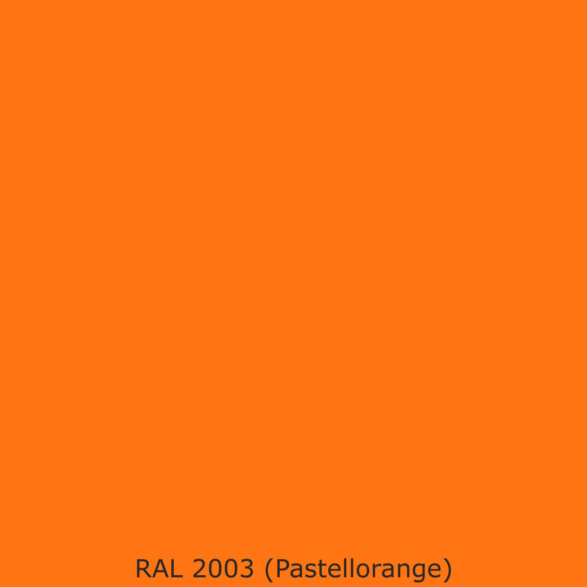 Toilettenrückwand Einfarbig RAL 2003 Pastellorange
