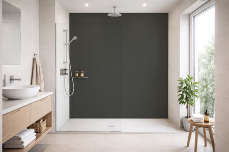 Toilettenrückwand Einfarbig RAL 7022 Umbragrau