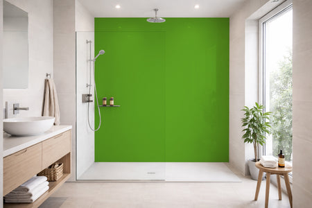 Toilettenrückwand Einfarbig RAL 6017 Maigrün