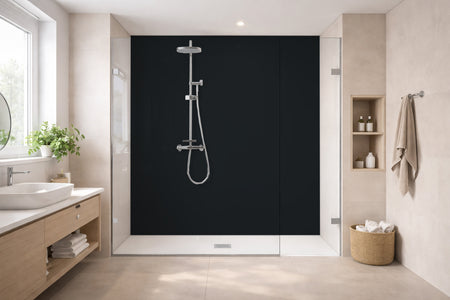 Toilettenrückwand Einfarbig RAL 9011 Graphitschwarz