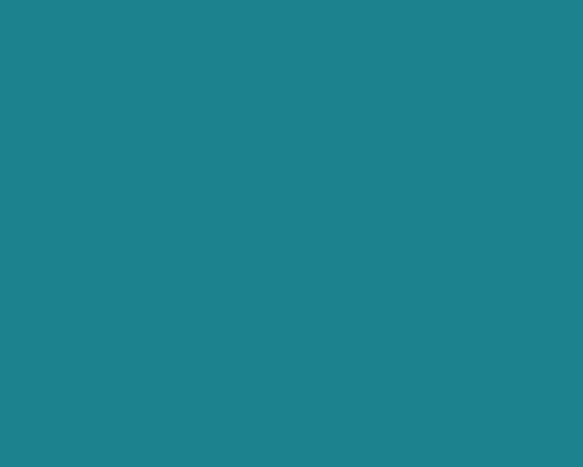 Toilettenrückwand Einfarbig RAL 5018 Türkisblau