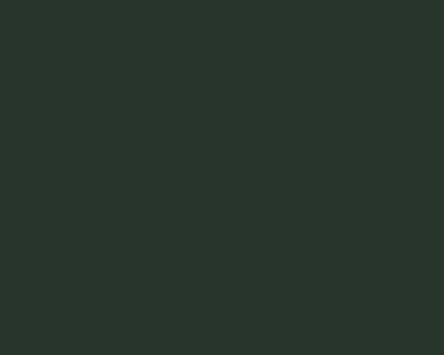 Toilettenrückwand Einfarbig RAL 6009 Tannengrün