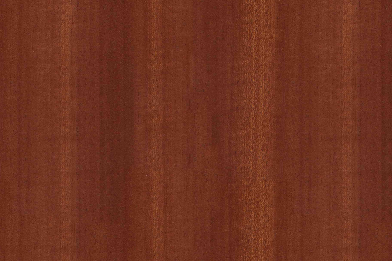 Toilettenrückwand Holzoptik