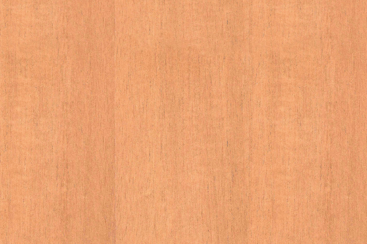 Toilettenrückwand Holzoptik