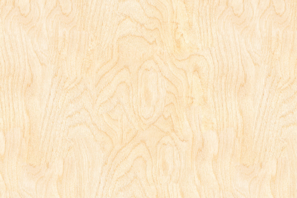 Toilettenrückwand Holzoptik