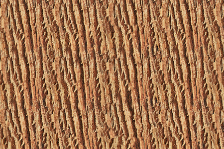 Toilettenrückwand Holzoptik