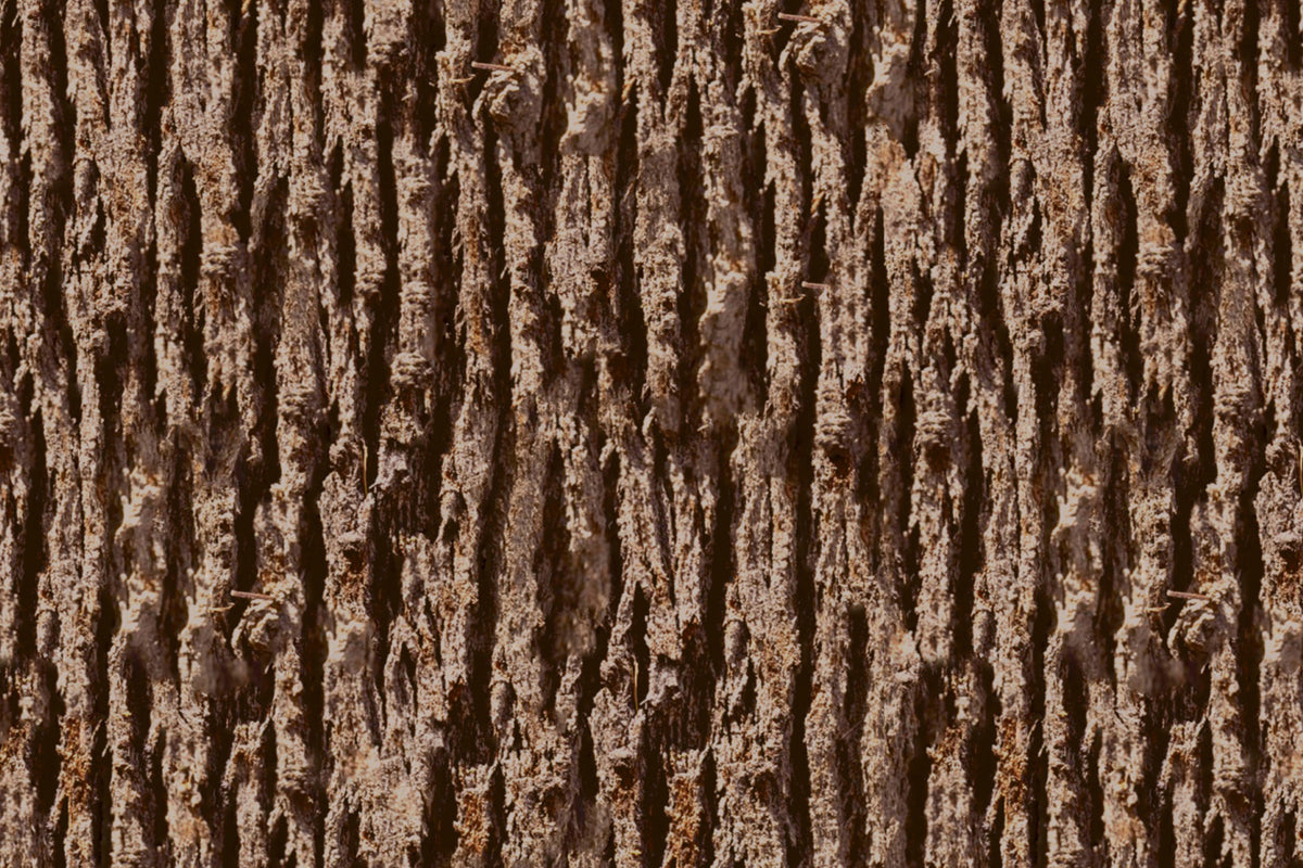 Toilettenrückwand Holzoptik