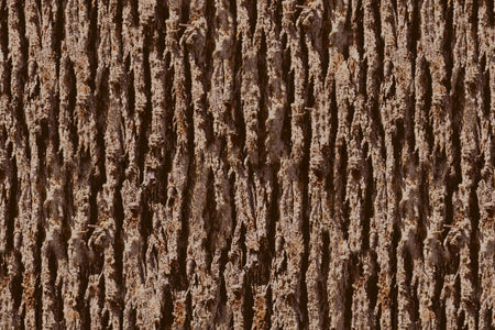 Toilettenrückwand Holzoptik