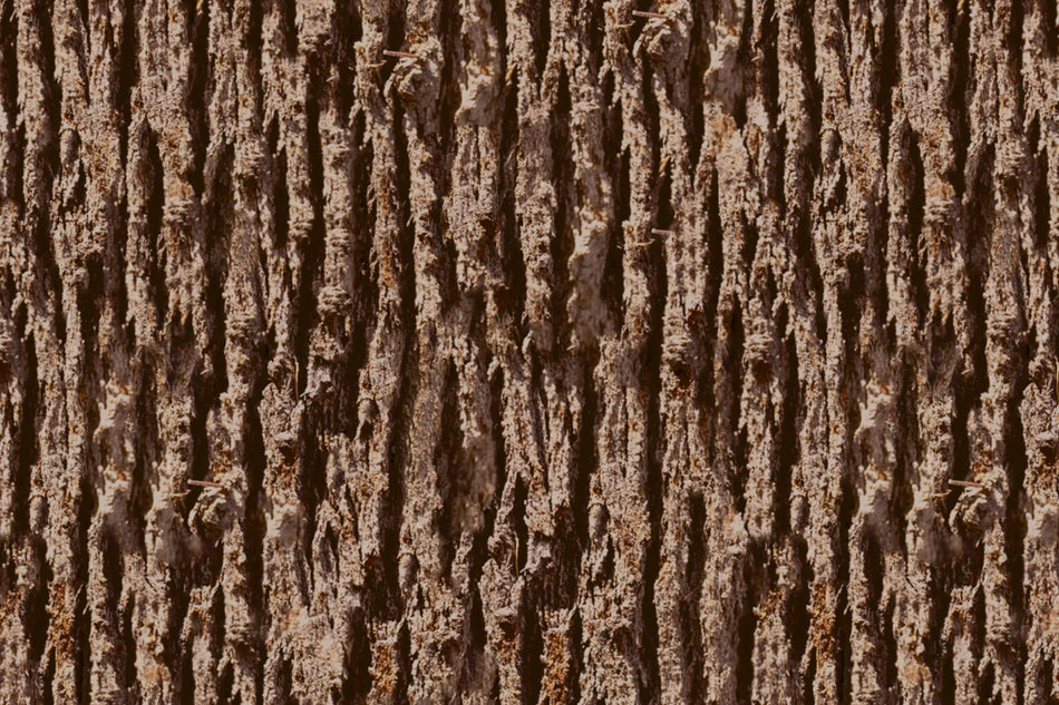 Toilettenrückwand Holzoptik