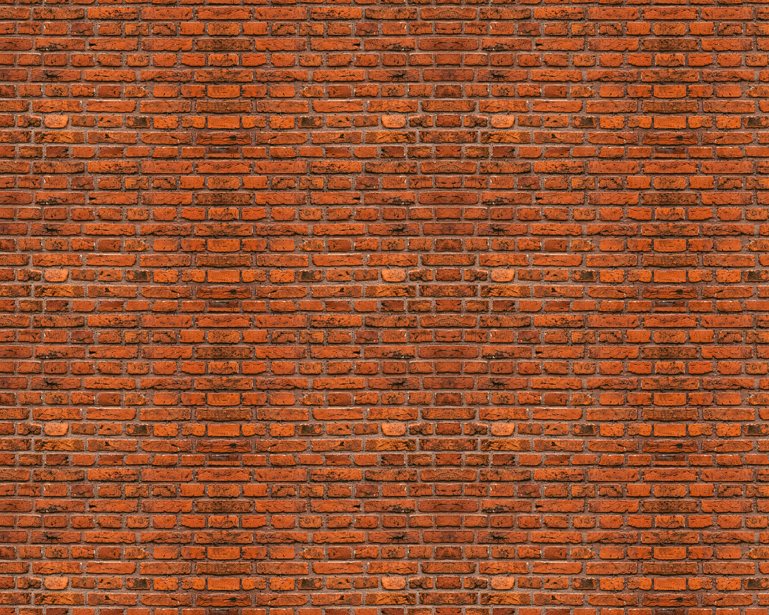Toilettenrückwand Steinoptik