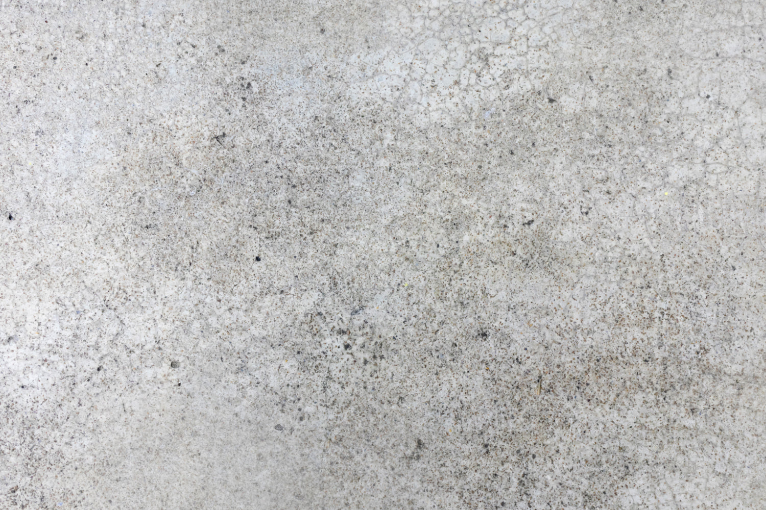 Küchenrückwand Betonoptik