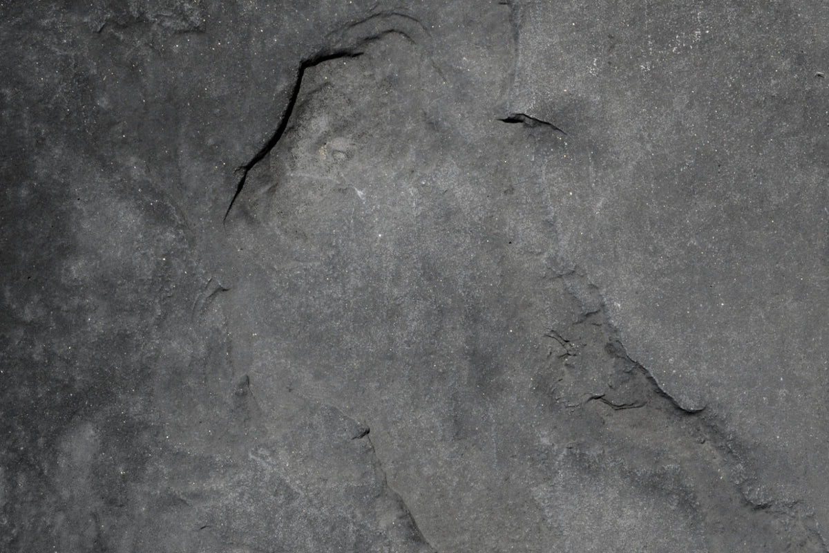 Küchenrückwand Betonoptik