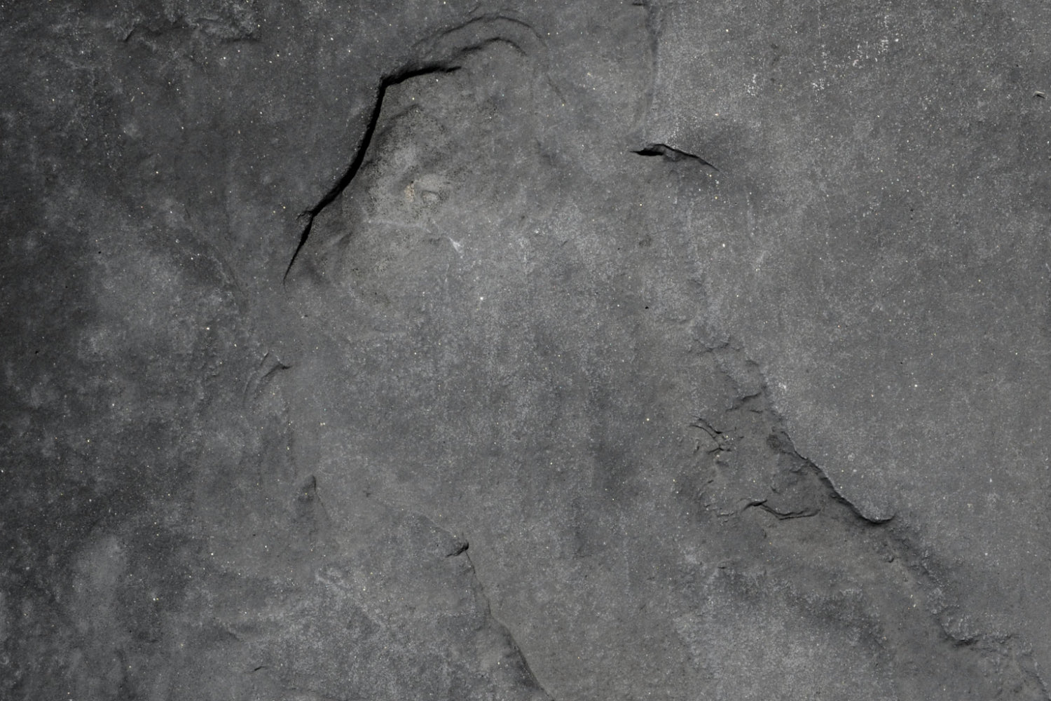 Küchenrückwand Betonoptik