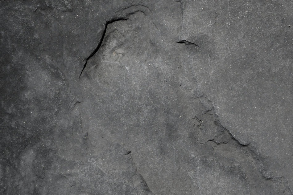 Küchenrückwand Betonoptik