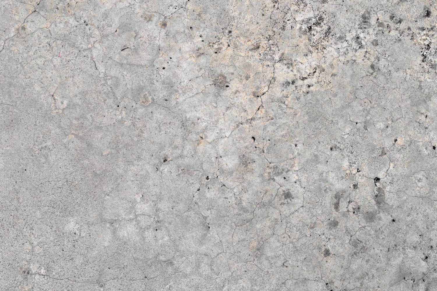 Küchenrückwand Betonoptik