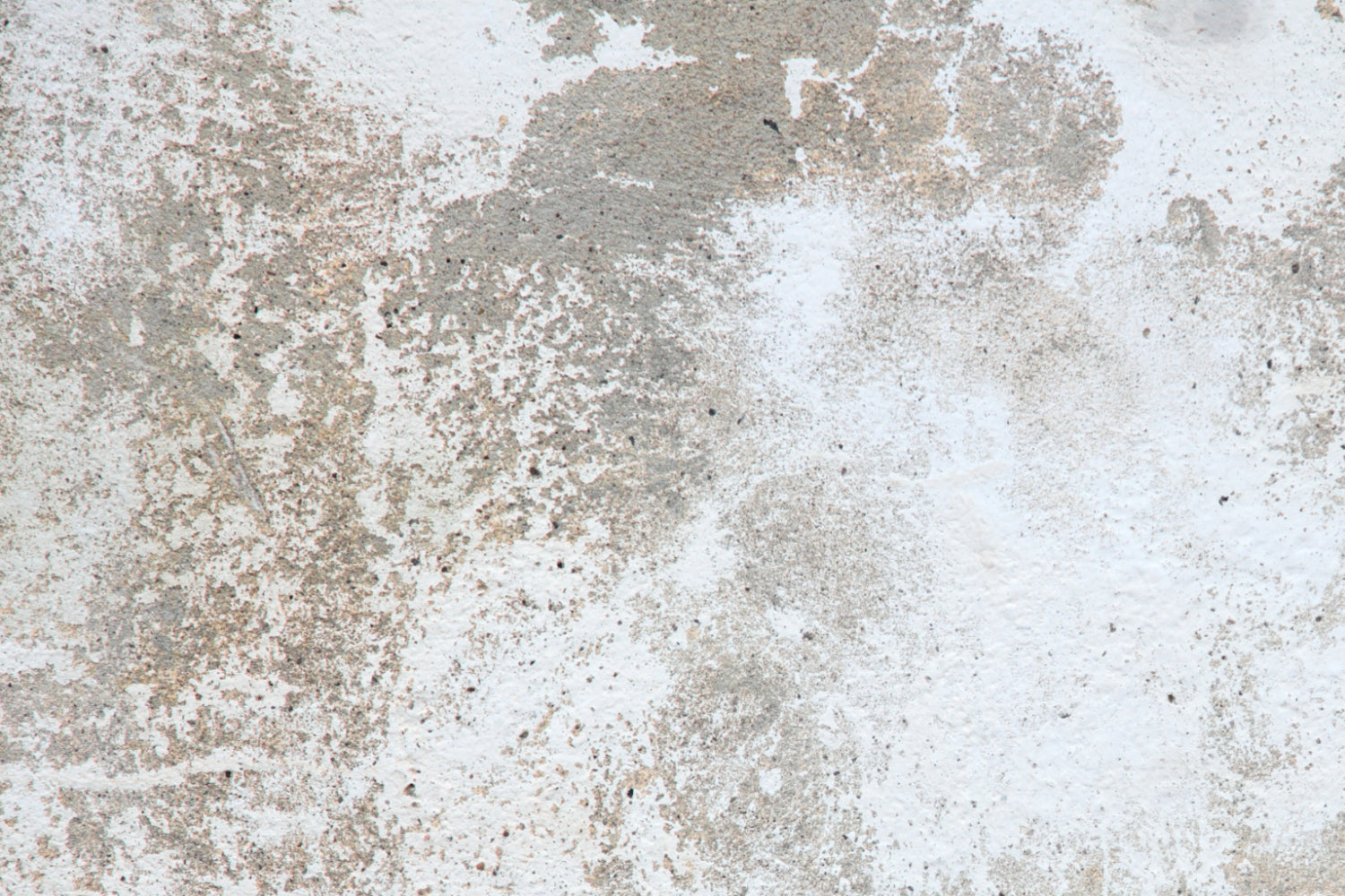 Küchenrückwand Betonoptik