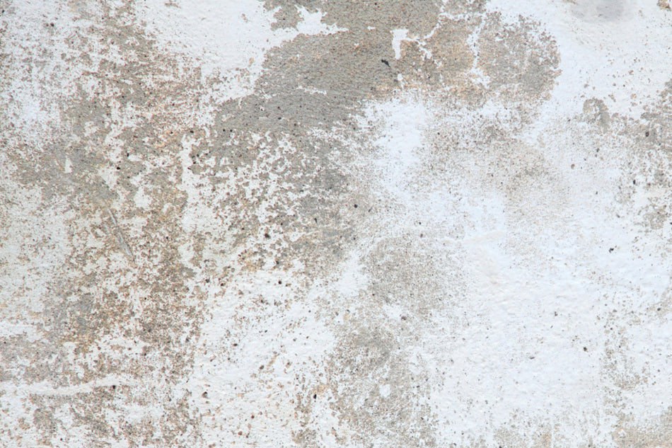 Küchenrückwand Betonoptik