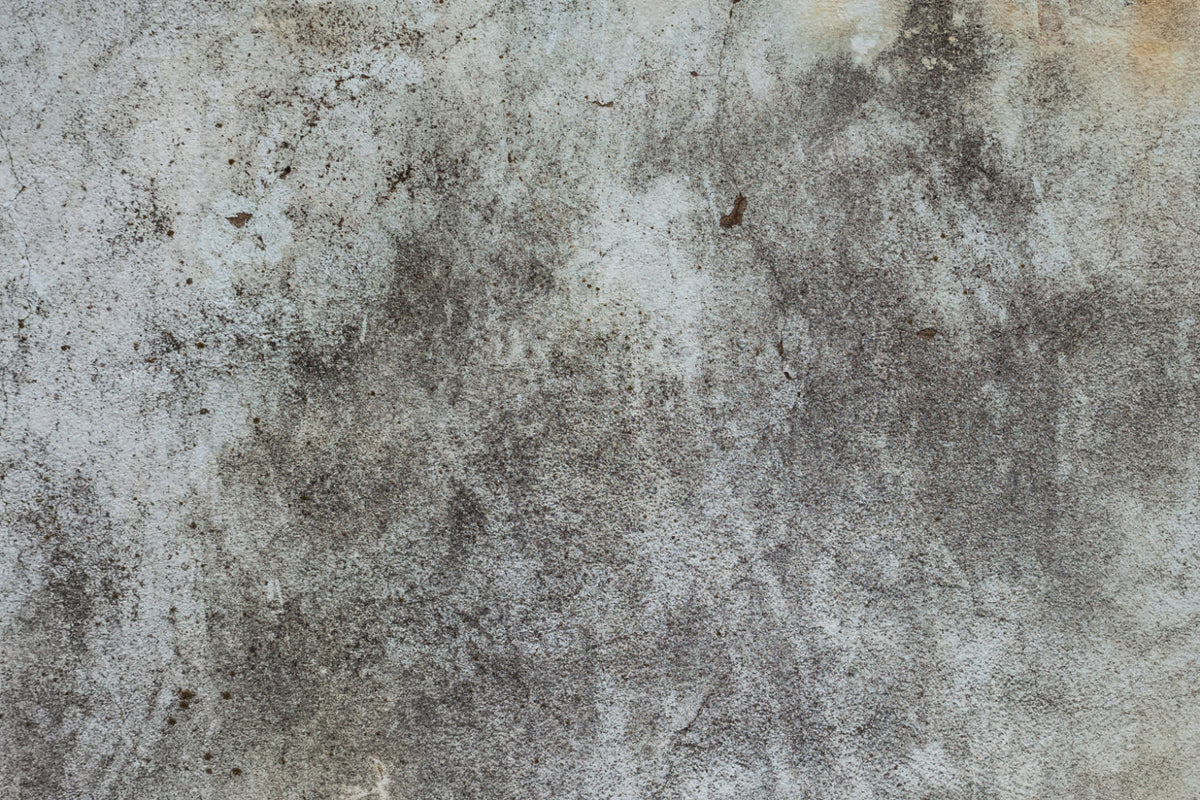 Küchenrückwand Betonoptik