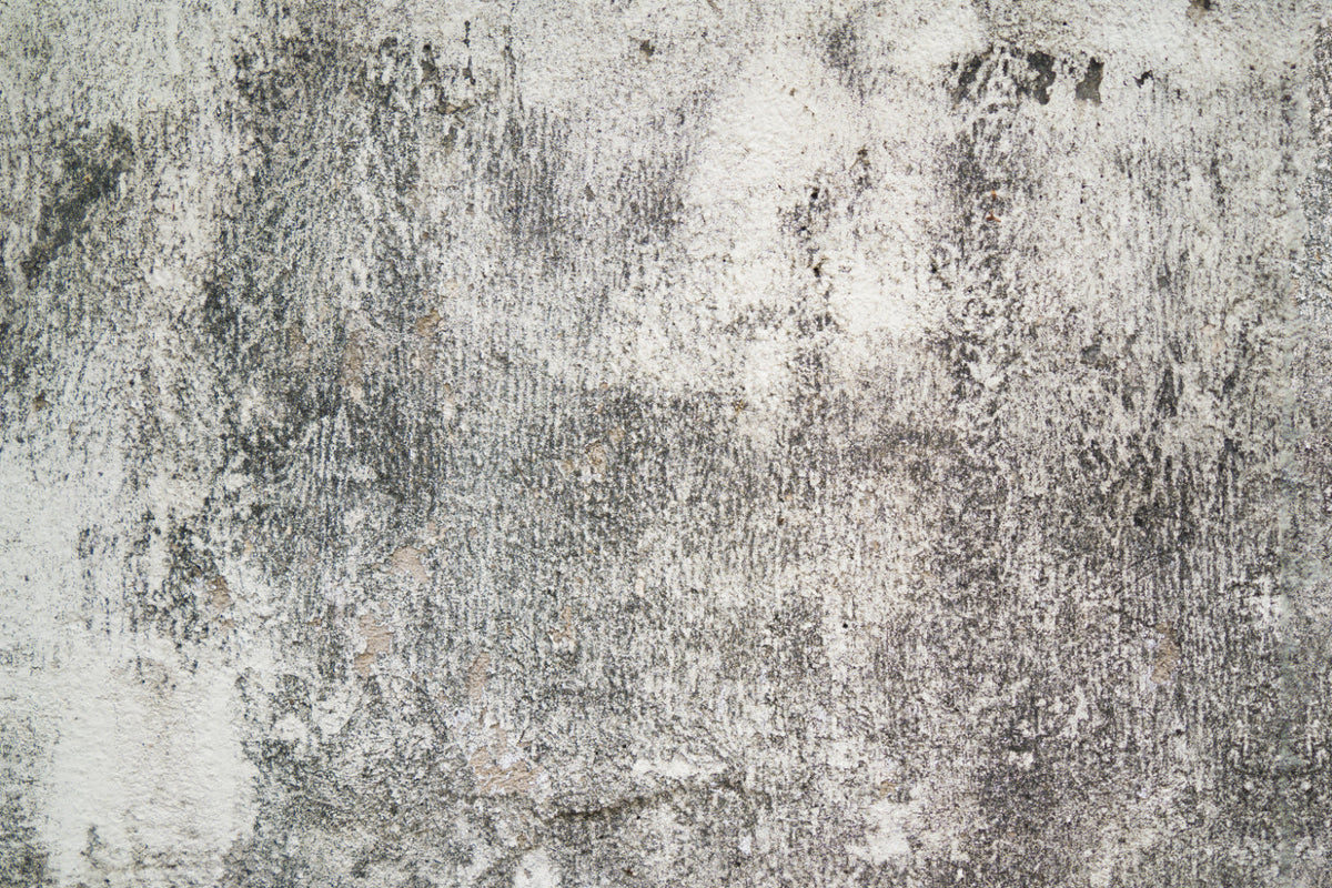 Küchenrückwand Betonoptik