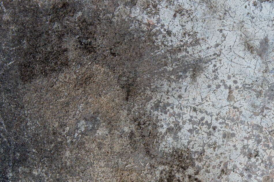 Küchenrückwand Betonoptik